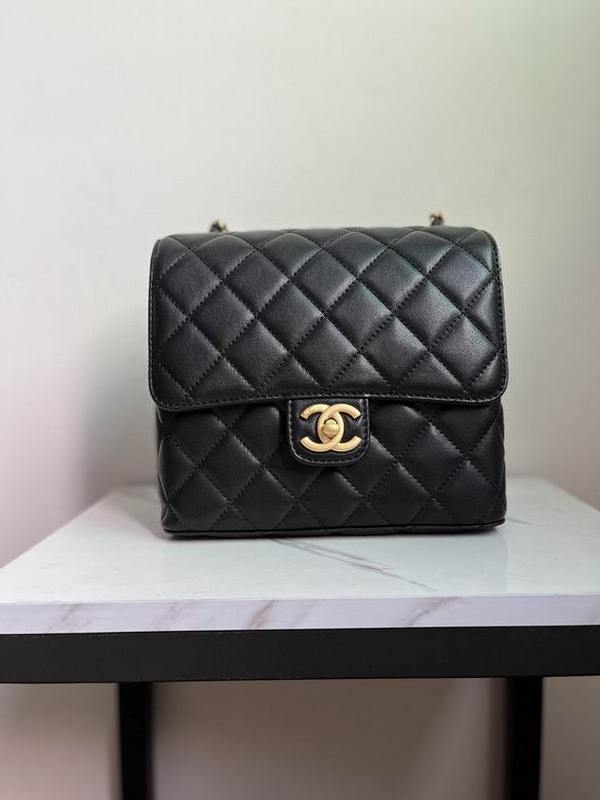 Chanel Handbags 215